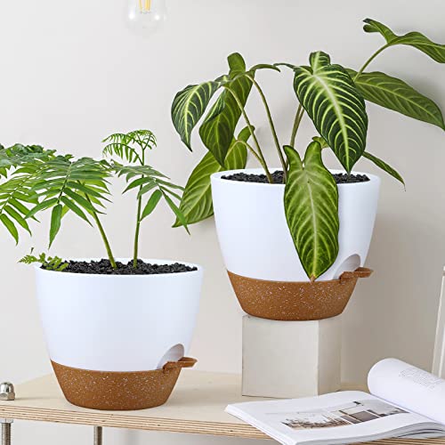 Warmplus 25cm Self-Watering Plant Pots Indoor, 2 Pack Large Plastic Plant Pots with Deep Reservior and High Drainage Holes for Indoor Outdoor Pla