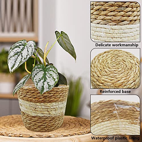 WAIZHIUA 3Pcs Woven Planter Basket with Liner, 3 Sizes Natural Seagrass Woven Plant Pots Flower Pots Baskets Plant Containers Storage Basket for