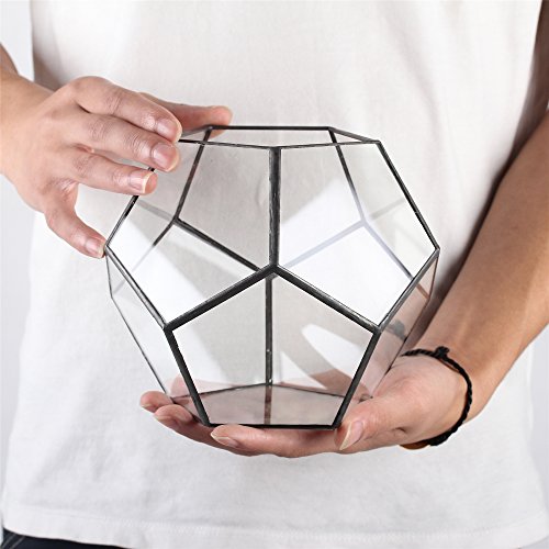 NCYP 15cm Small Glass Geometric Terrarium Planter, Tabletop Pentagon Display Terrarium Pot for Succulent Cacti Fern Moss Air Plants, Indoor Home