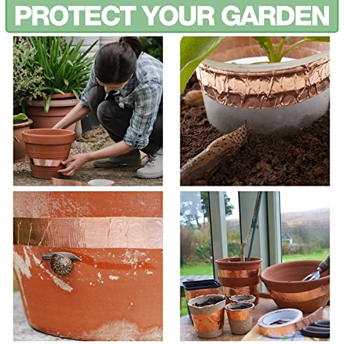 EVG 20mm x 25m Copper Slug Tape | Adhesive Copper Slug Snail Repellent | Slug Deterrent Barrier Tape | Humane Pest Control (2 Rolls)