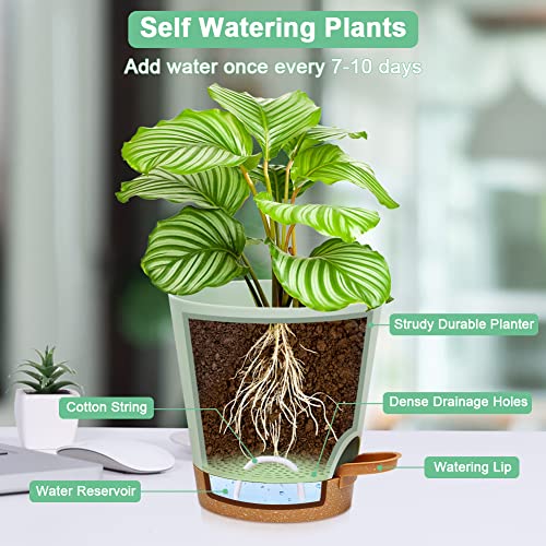 OFFCUP Plant Pots, 3pcs Plastic Plant Pots, 16.5cm Self Watering Plant Pots with Drainage Holes, Saucers and Reservoir, Suitable for Plants Indoo