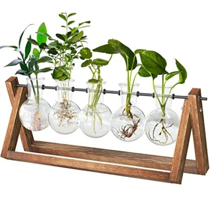 cfmour Plant Terrarium with Wooden Stand, Desktop Propagation Stations Glass Air Planter Metal Swivel Holder for Indoor Live Hydroponics Plants O