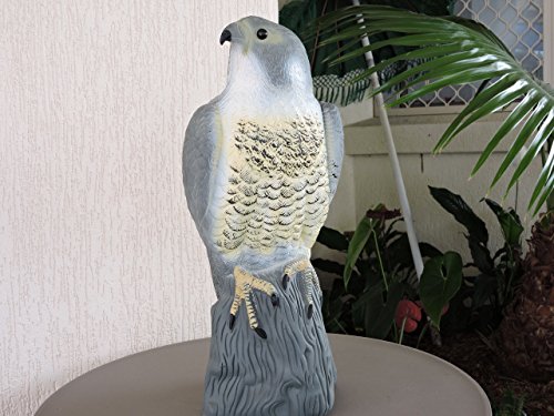 HHH HUNTING® Large Realistic Falcon Decoy Bird Deterrant,Lifelike Full Bodied Bird Of Prey Pest Control Garden Statue Cat And Bird Repeller Garde