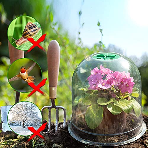 LATERN 6Pcs Garden Plant Cloche, 26cm x 20cm Plant Dome Bell Cover Reusable Plastic Mini Greenhouse for Warming Garden Soil Plants Frost Protect