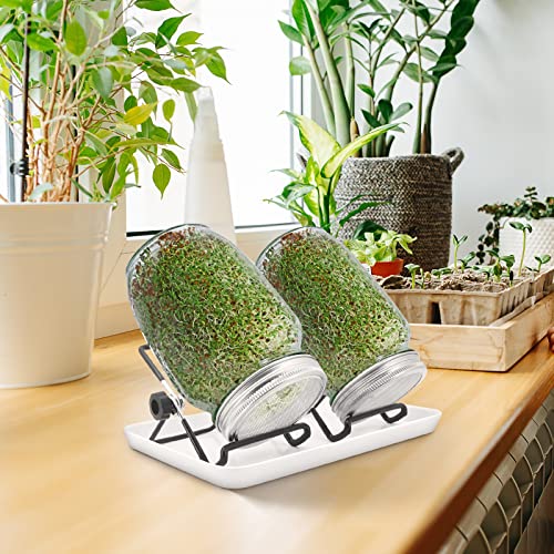 MoYouno Sprouting Jar Kit, 2Pcs Seed Sprouter Kit, Indoor Seed Sprouter,Sprout Growing Kit-with Tray,Stand, Sprout Lids,Wide Mouth Quart Mason Ja