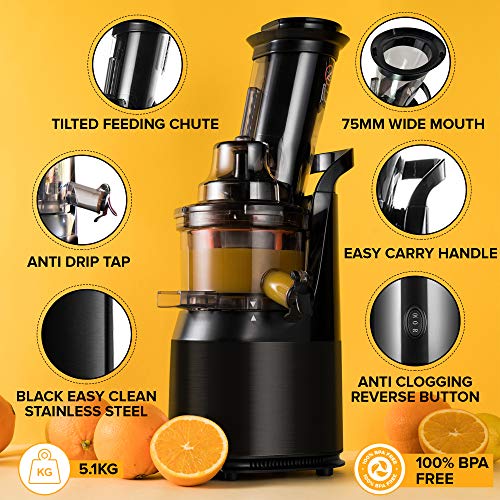 Powerful Masticating Juicer for Whole Fruits and Vegetables, Fresh Healthy Juice, Sorbet, Ice Cream, Wide Mouth 75mm Feeding Chute, BPA Free, 240
