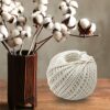 ANEEQA Cooking String Garden Twine Natural Cotton Macrame Craft Cord Off White Ball Approx50 Meter Kitchen Trussing Culinary Thin Meat Rope Plant