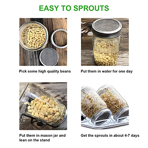 MoYouno Sprouting Jar Kit, 2Pcs Seed Sprouter Kit, Indoor Seed Sprouter,Sprout Growing Kit-with Tray,Stand, Sprout Lids,Wide Mouth Quart Mason Ja