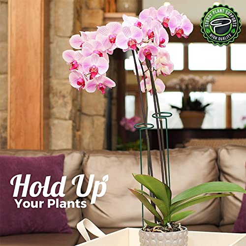 OAHAO 6 Pack Plant Stakes for Flowers, Metal Single Stem Plant Support, Plant Cage Support Ring with 10 pcs Plant Clips for Climbing Plants Garde