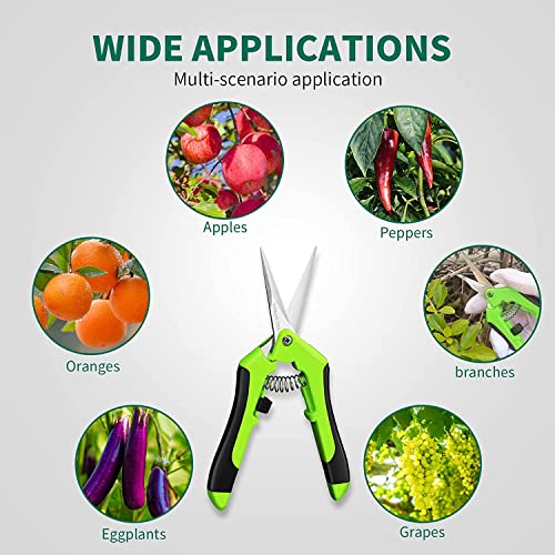 Jasni Professional Pruning Shears, Trimming Scissors - Straight Tip, Gardening Hand Pruner Pruning Shear Stainless Steel Blades with Spring-Loade