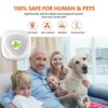 Ultrasonic Pest Repeller Insect Repellent, Efficient Repelling Spider, Mosquitoes, Mouse, Cockroach and Other Rodents, 100% Safe (4 Packs)