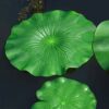 ZAUGONTW 12 Pieces Realistic Lily Pads Leaves, Artificial Floating Foam Lotus Leaves, Water Lily Pads Artificial Foliage Pond Decor for Pond Pool