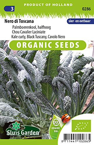 Curly Kale Nero di Toscana (Black Tuscany) Vegetable Seeds per Gram - Organically Grown Seeds per Gram - 0,6 g - Seeds per Gram: +/-150