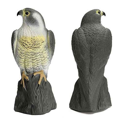 HHH HUNTING® Large Realistic Falcon Decoy Bird Deterrant,Lifelike Full Bodied Bird Of Prey Pest Control Garden Statue Cat And Bird Repeller Garde