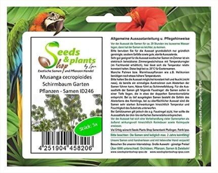 Pcs - 5X Musanga Cecropioides Schirmbaum Garden Plants - Seeds ID246 Plants Shop Samenbank Pfullingen Patrik Ipsa