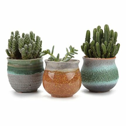 T4U 7CM Ceramic Summer Trio Succulent Plant Pot/Cactus Plant Pot Flower Pot/Container/Planter Green Package 1 Pack of 3