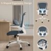 AONELAS Ergonomic Office Chair, Breathable Mesh Computer Chair for Home Office, High Back Desk Chair with Flip-up Arms and Adjustable Height