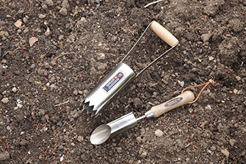 Spear & Jackson 5710BP Midi Bulb Planter, Blue