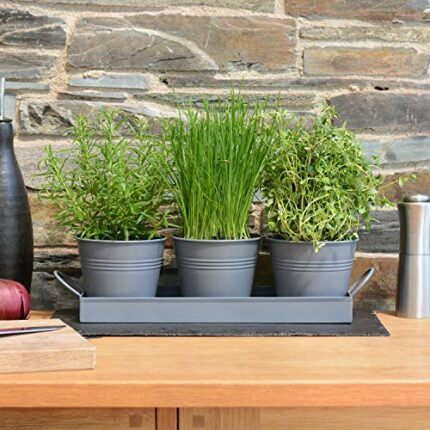 Set of 3 Metal Herb Plant Pots with Drip Tray by CKB Ltd - Traditional Indoor Windowsill Coloured Planter Box for The Kitchen Grow Your Own Herbs