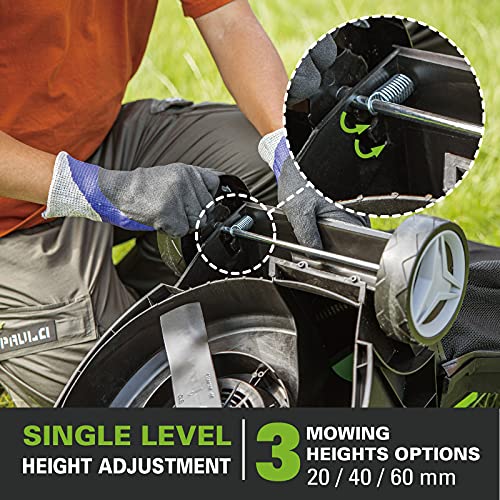 Greenworks G24LM33 Cordless Lawnmower for Smaller Lawns up to 280m², 33cm Cutting Width, 30L Bag WITHOUT 24V Battery & Charger, 3 Year Warranty