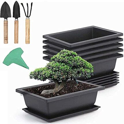 ADLOASHLOU 6 Pieces Rectangle Plant Pot with 7 Pieces Plant Labels, Plastic Bonsai Training Pots, Flower Succulent Pots with Trays Durable Plante