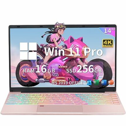 Fsjun 14-inch 4K UHD (3840x2160) IPS Display Laptop, Win 11 Pro/Office 2019, Celeron N5095(up to 2.9Ghz), 16GB RAM, 256GB SSD, Color Backlit KB,