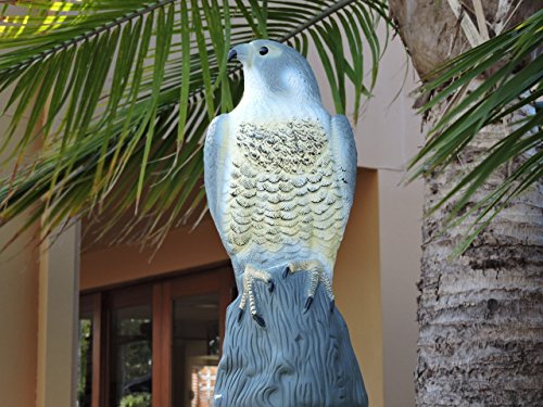 HHH HUNTING® Large Realistic Falcon Decoy Bird Deterrant,Lifelike Full Bodied Bird Of Prey Pest Control Garden Statue Cat And Bird Repeller Garde