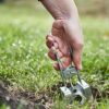 The Big Cheese Mole Tunnel Trap - Traditional Two-Way Trap Design Manufactured from Durable Galvanised Metal and Wire, Controls Moles in Lawns an