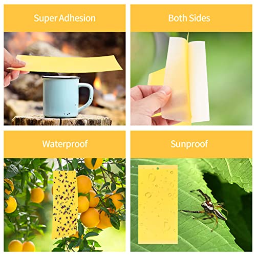 Dual-sided Fly Trap Sticky, 25Pcs Plant Fly Catcher, Board Fruit Fly Traps Sticker Insect Gnat Traps, Yellow Fly Stickers for Mosquitos, Flying A