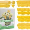 50PCS fruit fly traps yellow Fly Paper sticky catcher - Double-sided Fungus Gnat Sticky Catcher For Multiple Insect