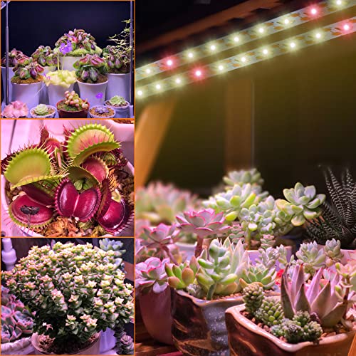 Grow Lights for Indoor Plants,120 LEDs Waterproof led Grow Lights Full Spectrum,USB Plug-in Dimmable Auto On/Off with 3 Timers Plant Light, for I