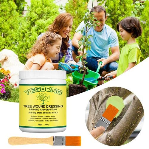 mein Plant Wound Pruning Sealer | Tree Pruning Cutting Paste | 100g Tree Wound Dressing with brush, Bonsai Wound Healing Agent, Plant Grafting an