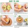 Avocado Tree Growing Kit - Avocado Pit Planting Bowl with Cork and Wooden Base, Cultivating Seedlings in Novel Way, Great Gift for Family Friends