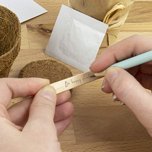 Grow Me Hot Stuff & Gift Republic Ltd Grow Me Money Does Grow On Trees