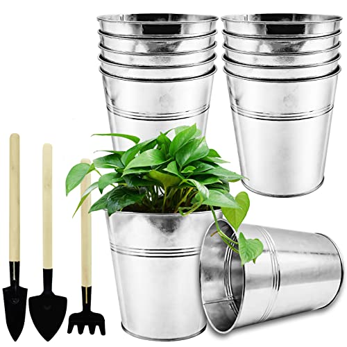 WAIZHIUA 12Pcs 12cm Metal Flower Pots Galvanised Iron Plant Pots Garden Planters Plant Container with Mini Tools for Plants Herb Flowers Shrubs I