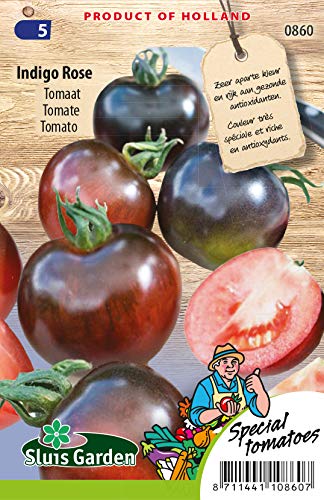 Tomato Indigo Rose Vegetable Seeds per Gram - As Black as an Aubergine - Seeds per Gram: +/-17