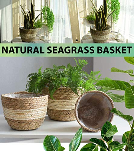 KAHEIGN 3Pcs Seagrass Planter Basket, 3 Size Woven Plant Pot Indoor Outdoor - Flower Pots Cover Storage Basket Plant Containers for Home Decor (B