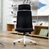ZXNRTU Relax Comfortably Safe Ergonomic Office Chair, Mesh Computer Desk Chair with Adjustable Lumbar Support, Armrest, Headrest - High Back Exec