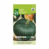 Arborix Hokkaido Green Pumpkin Vegetable Seeds