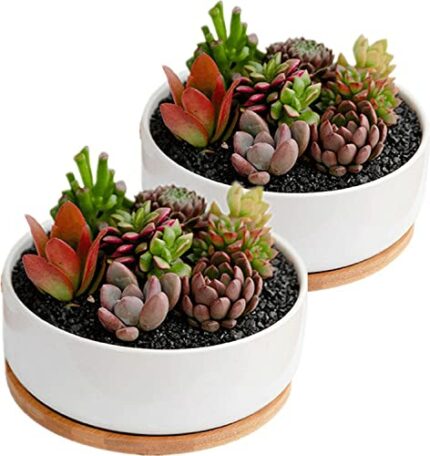 disdain Plant Flower Pots Indoor, 2-pack Set Ceramic Flower Pots Planter, white Ceramic Plant Pot Small Round Plant Pots for Home Office Decorati