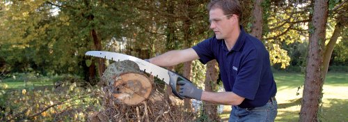 Draper Expert 50cm Soft Grip Curved Blade Garden Hand Saw - 44997 - Tree Cutter Pruning Tool