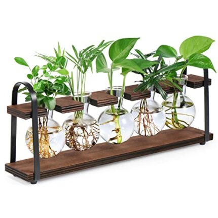 THYGIFTREE Plant Propagation Stations with Wooden Stand, Desktop Retro Plant Terrarium Bulb Vase for Indoor Hydroponic Flowers, Tabletop Glass Pl