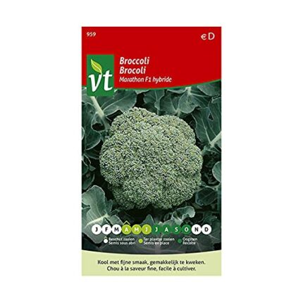 Broccoli Marathon F1 Hybrid Seeds - Quality Selection producing Quality Shoots - 0,3 g - Seeds: 350