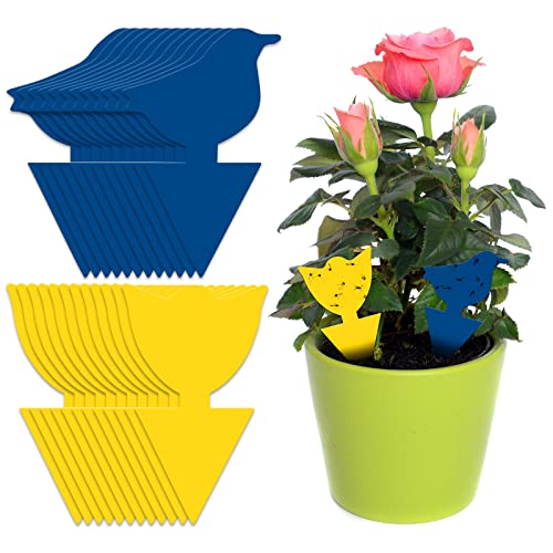 24pcs Fruit Fly Trap, Sticky Fruit Fly and Fungus Gnat Trap, Dual-Sided Fruit Fly Trap Bug Catcher for Protect Plants and Control Indoor Plant Bu