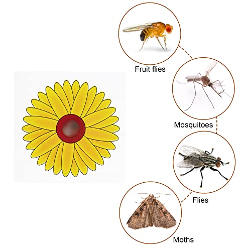 36 Pcs Window Fly Traps Indoor, Sunflower Fly Catcher Window Fly Sticker, Sticky Window Insect Trap for Indoor Use