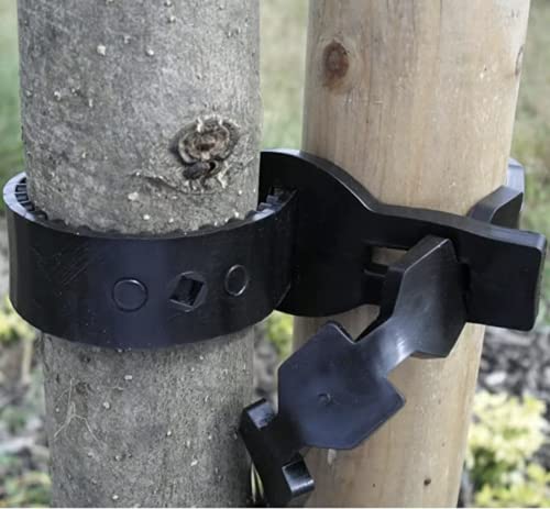 FIXINGS DIRECT Ultimate Super Soft Heavy Duty Plant Tie/Tree Tie - Multiple Sizes - (Adjustable Fitting) Weather Resistant & UV Stabilised (60cm