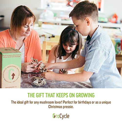 GroCycle Oyster Mushroom Growing Kit | Gardening Gifts - Grow Your Own Mushrooms Kit | | Fun to Grow & Delicious to Eat | Ready to Cook in 14 Day