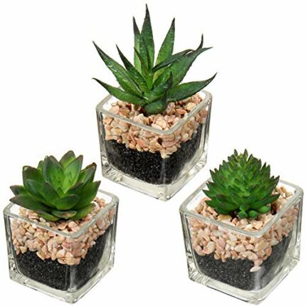 Briful Artificial Succulent Plant, Indoor Plant, Decorative Living Room, Bathroom Decorative Plant, Succulent Plant, Height 10.5 cm, in Glass Pot
