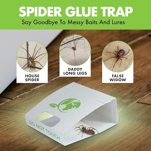 Spider Trap 30 Pack | Spiders And Crawling Insect Killer Traps