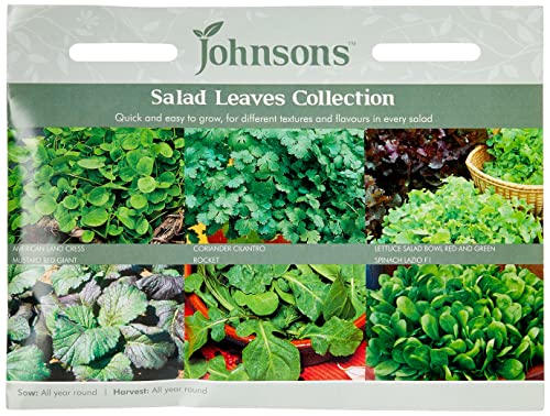 Johnsons UK/JO/VC Pumpkin and Winter Squash Collection